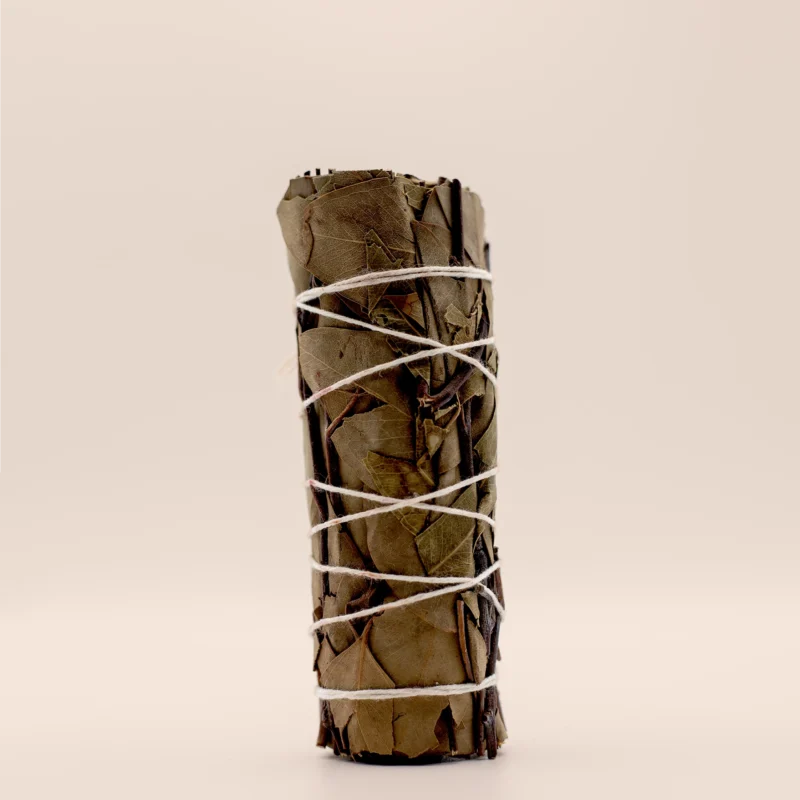 Baton eucalyptus V2 - Fleur d'Ô
